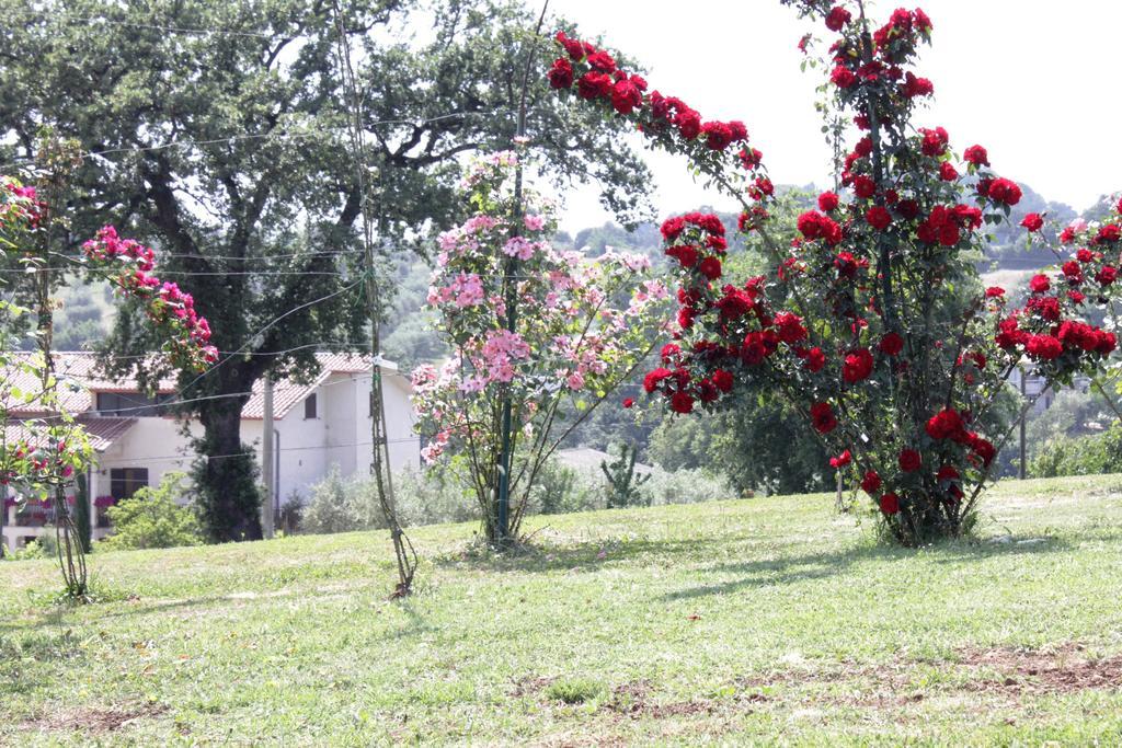 Agriturismo Nociquerceto Tarano Екстер'єр фото